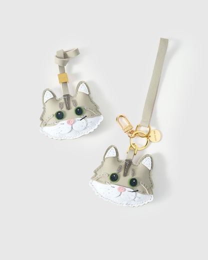 BRITISH LONGHAIR SILVER SHADED