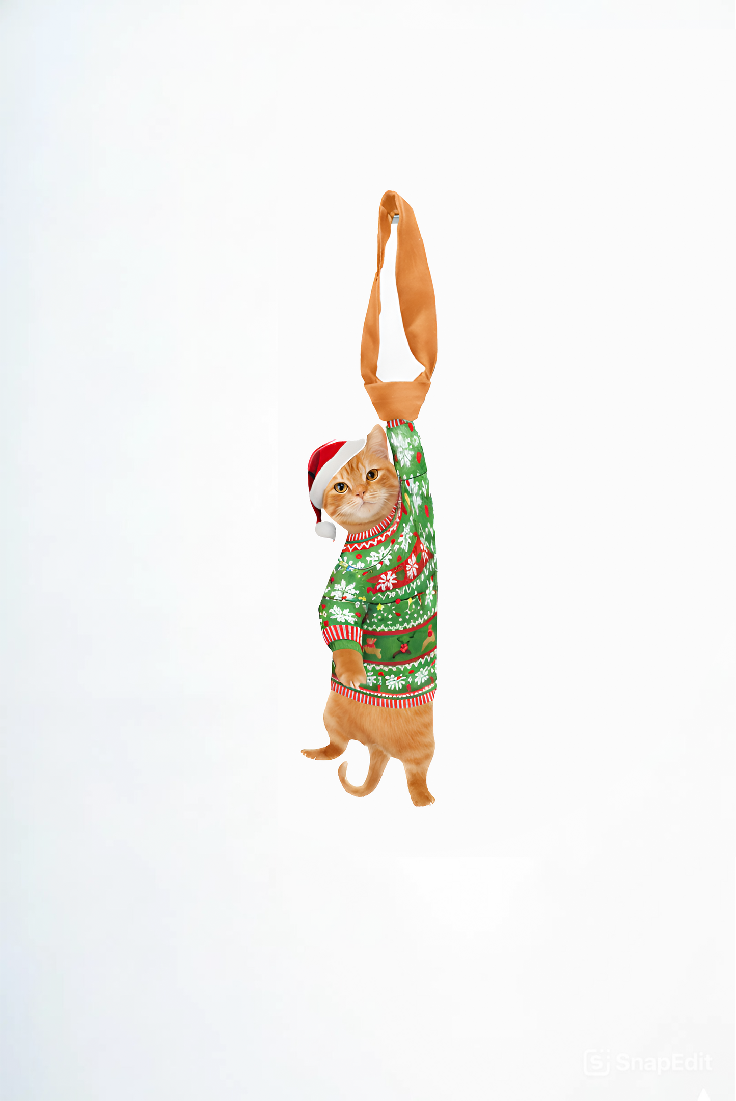 Custom Pet Christmas Tie - Custom Cat With Chistmas Sweater