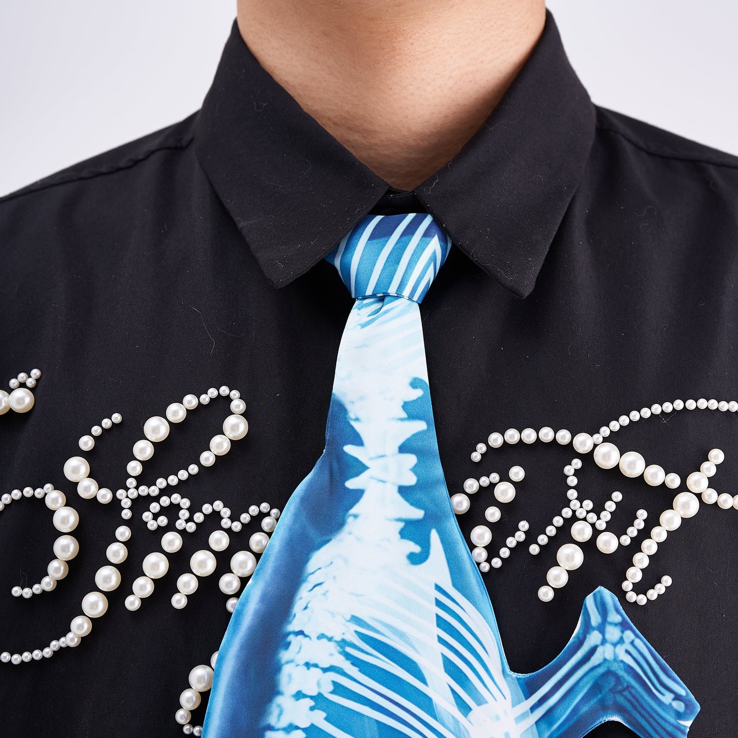 Animals Ties X-ray Chameleon Tie, Vintage Tie, Novelty Tie, Tie Accessories Holiday Gift, Tie Gift, Tie Accessories