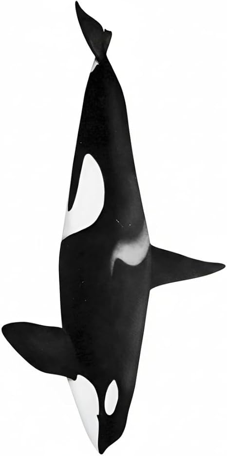 Animals Ties - Funny Cute Killer Whale Tie, Novelty Tie, Orca Tie, Tie Accessories Holiday Gift.